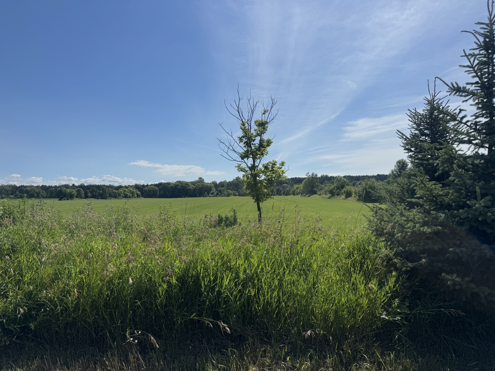 Mogren Farms Parcel B 15.19 Acres